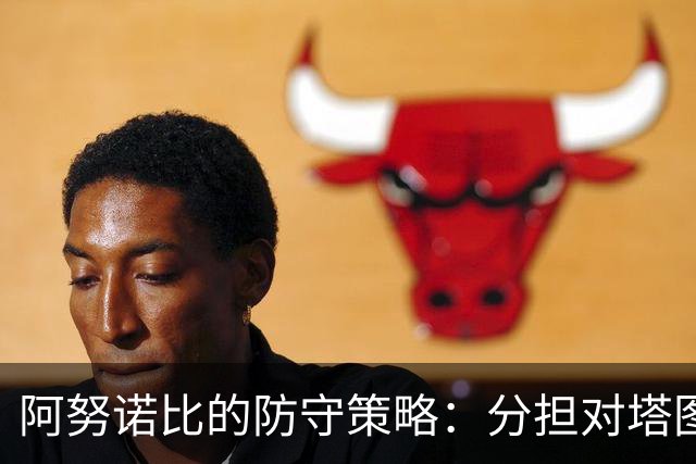 阿努诺比的防守策略：分担对塔图姆的压力